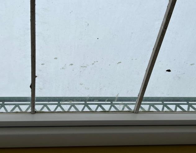 A close-up photograph of a window or conservatory roof structure featuring metal mullions and a decorative metal lattice band.