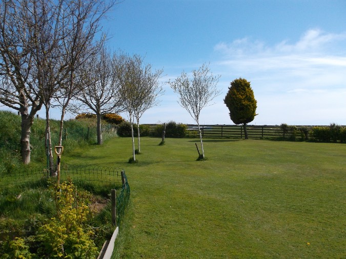 A photograph showing a grassy field with a row of young trees and wooden fencing, likely the site for the proposed dwellings.