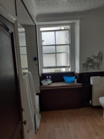 Interior photograph of a room, likely a bathroom, featuring wooden flooring, dark wood wainscoting, a radiator, and a sash window with frosted glass.