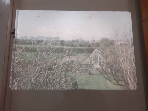 A photograph showing a rural view through bare bushes, featuring a small wooden structure like a greenhouse in a grassy area with fields and distant buildings in the background.