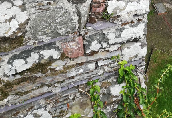 Close-up photograph of a weathered stone wall featuring lichen growth, slate flashing, and climbing vegetation.