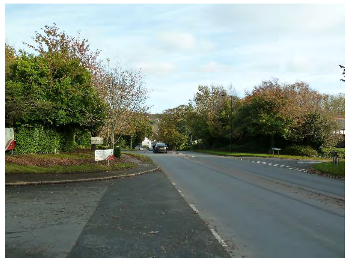 A street-level photograph showing a road curving to the right with trees and vegetation on either side.