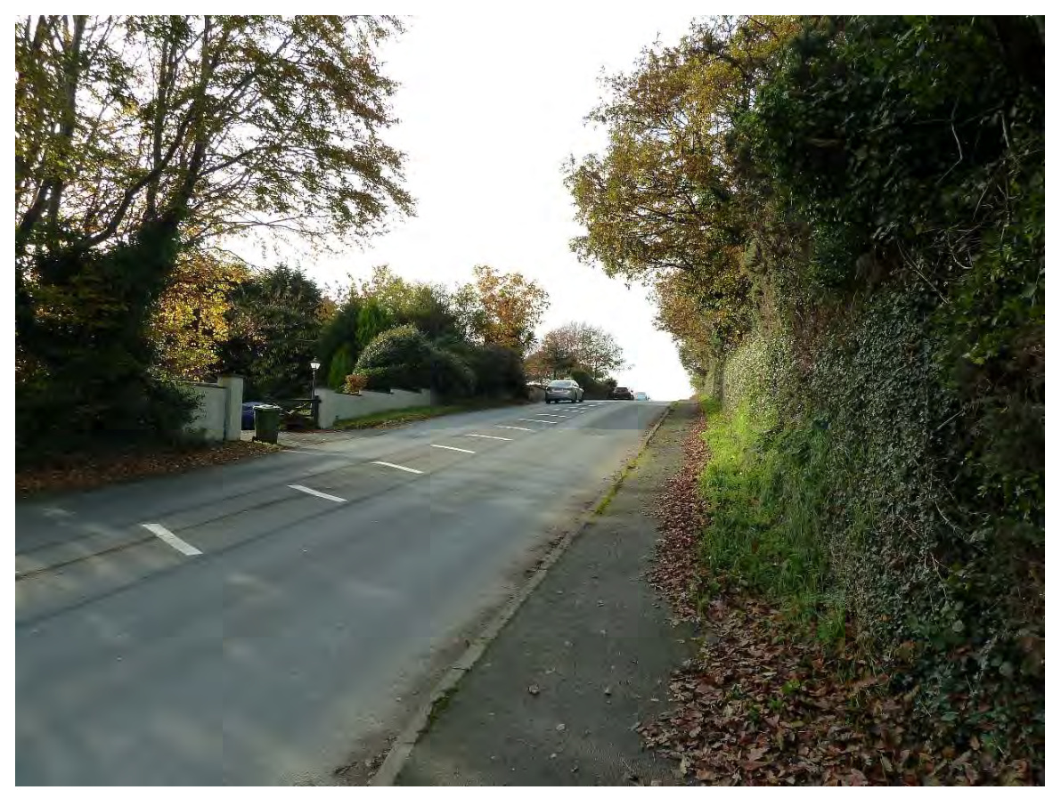 A photograph showing a paved road leading uphill, flanked by dense trees and vegetation on both sides, with a car visible in the distance.