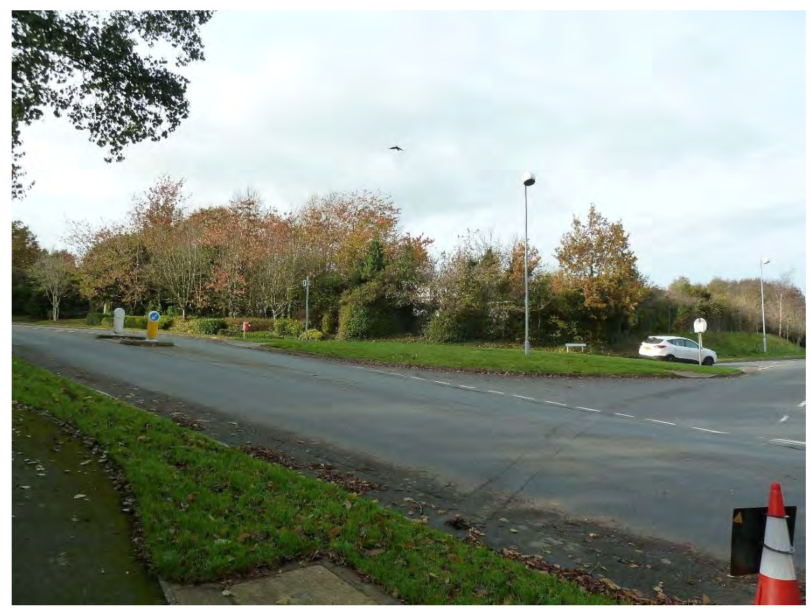 A street-level photograph showing a road junction with grass verges, trees with autumn foliage, and a white car parked on the side.