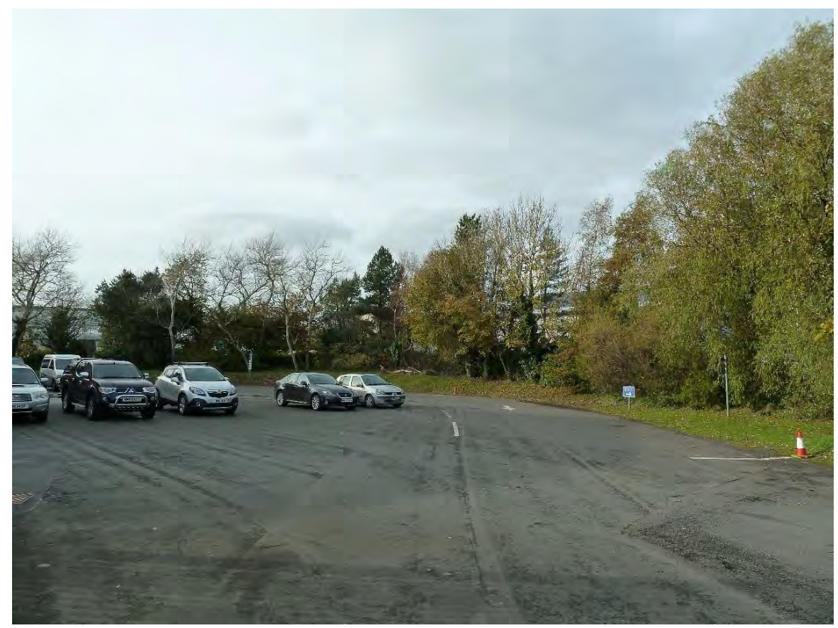 A photograph showing a paved area with several cars parked in a line, surrounded by trees and vegetation.