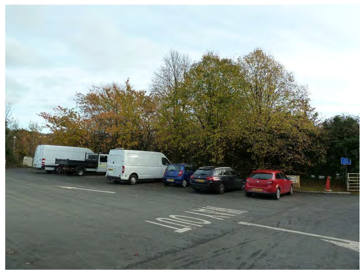 A photograph showing a paved parking area with several commercial vans and cars parked in a row.