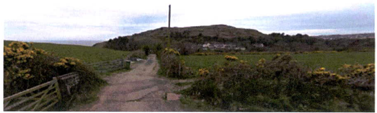 A landscape photograph showing a dirt track leading up a grassy hill with gorse bushes and a wooden gate on the left.
