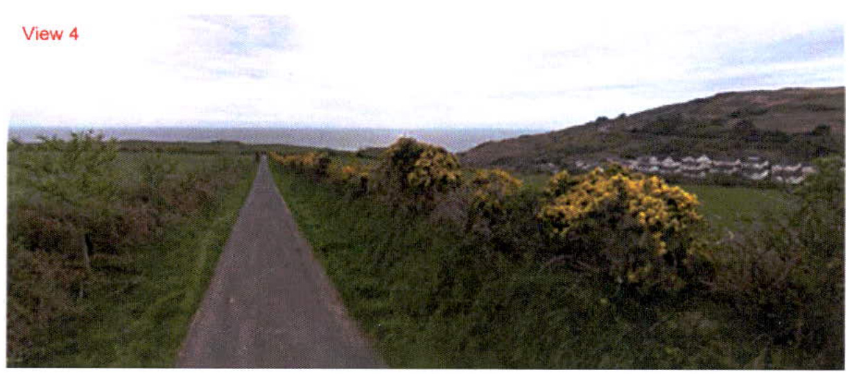 A photograph showing a paved path leading towards the sea, flanked by green vegetation and gorse bushes, with houses visible on a hillside in the distance.