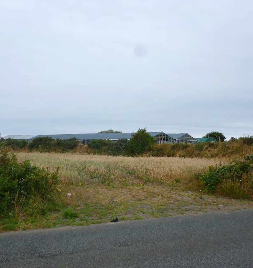 A photograph showing a grassy field and road verge in the foreground, with long agricultural or greenhouse-style buildings visible in the background under an overcast sky.