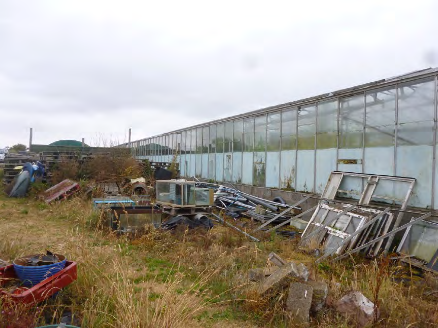 A photograph showing a long, dilapidated greenhouse or glasshouse structure surrounded by overgrown vegetation and scattered debris.