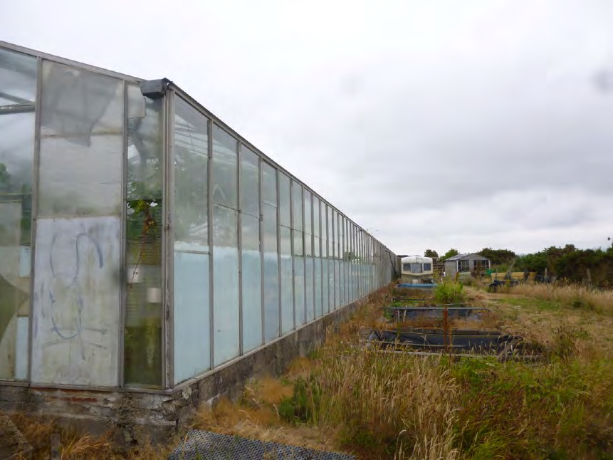 A long, weathered glass greenhouse structure stands in an overgrown field with other buildings visible in the background.