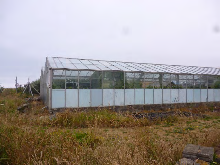 A photograph showing a long, metal-framed greenhouse or polytunnel structure with translucent upper walls and opaque lower panels, situated in an overgrown grassy field.
