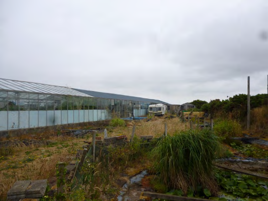 A photograph showing a large greenhouse structure in a rural setting with overgrown vegetation in the foreground and a caravan in the background.