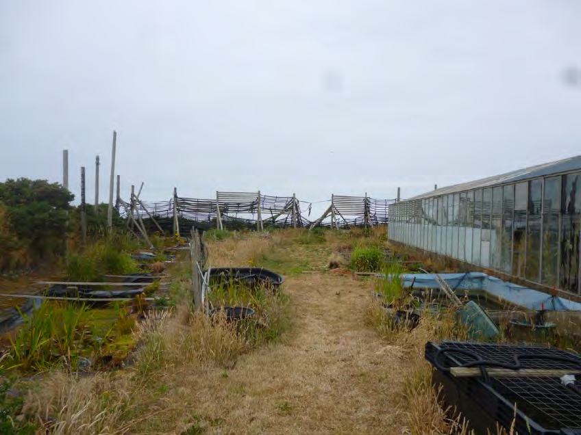 A photograph showing a grassy plot of land featuring a long glass greenhouse on the right and wooden trellis structures in the background.