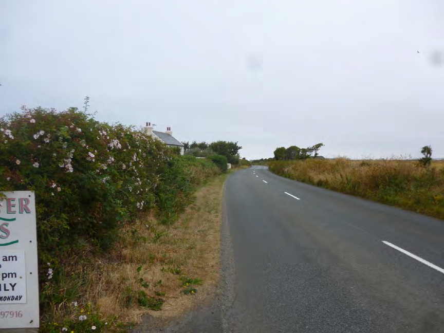 A street-level photograph showing a paved road curving to the right, with a white house visible behind a large flowering hedge on the left side.