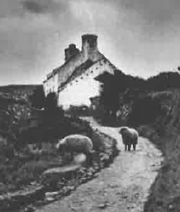 A black and white photograph depicting a stone building on a hillside with sheep grazing on a path in the foreground.
