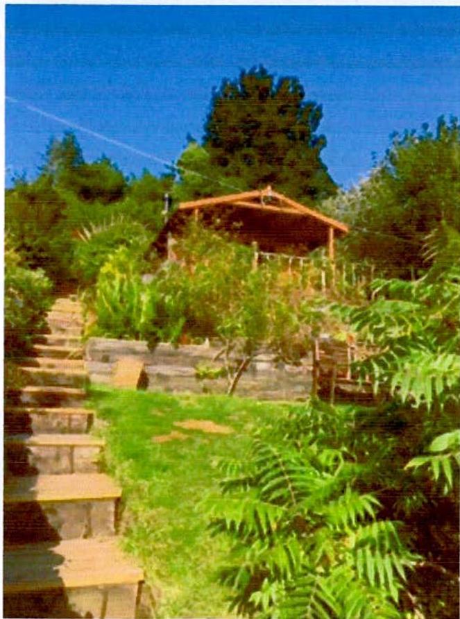 A photograph showing a wooden summerhouse situated on a grassy slope with stone steps leading up to it, surrounded by lush vegetation.