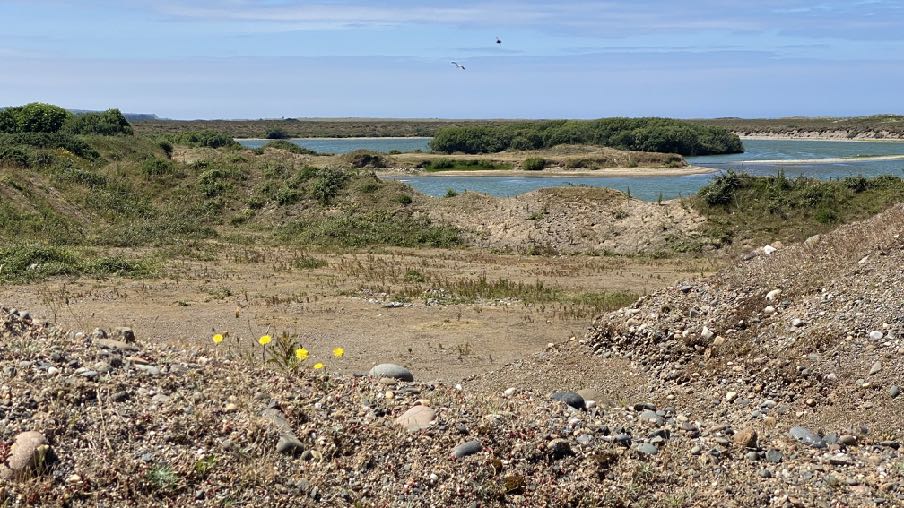 photograph from page 4