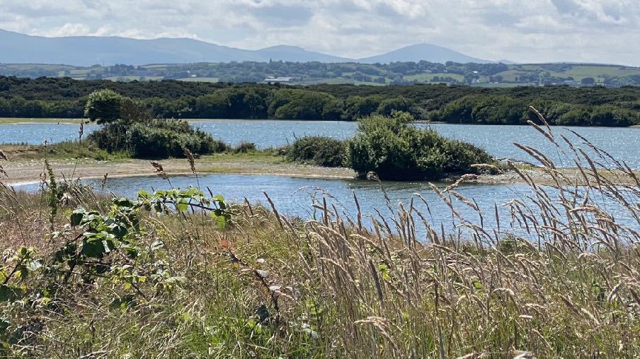 photograph from page 4