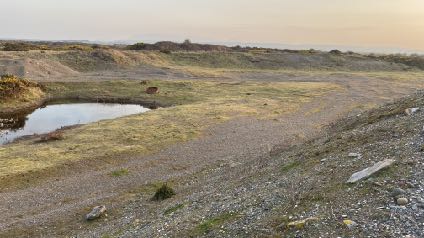 photograph from page 5