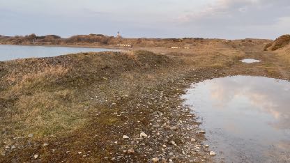 photograph from page 5