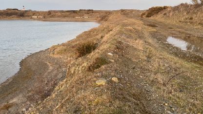 photograph from page 5