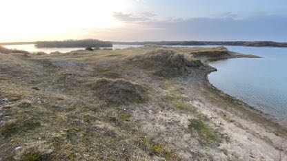 photograph from page 5