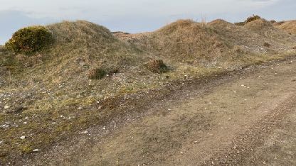 photograph from page 5