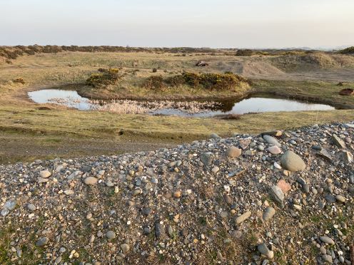 photograph from page 6