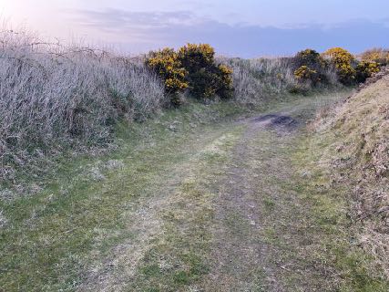 photograph from page 6