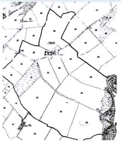 A black and white map showing land parcels, field boundaries, and small building symbols in a rural setting.