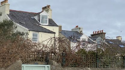 A street-level photograph of a row of terraced houses featuring slate roofs, chimneys, and a dormer window, seen through foreground vegetation.