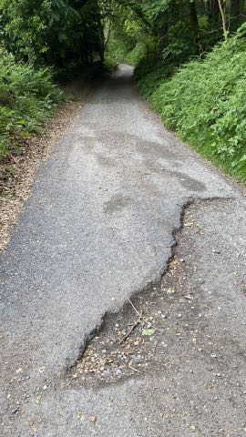 A narrow paved path or lane running through a dense wooded area, showing significant surface cracking and damage in the foreground.