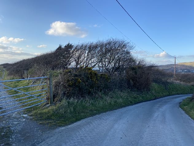 A photograph showing a narrow rural road curving right with a metal farm gate on the left, surrounded by hedges and trees.