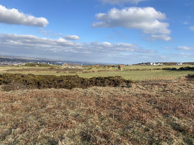 A landscape photograph showing a grassy field with scrub vegetation in the foreground and a coastal town visible in the distance.