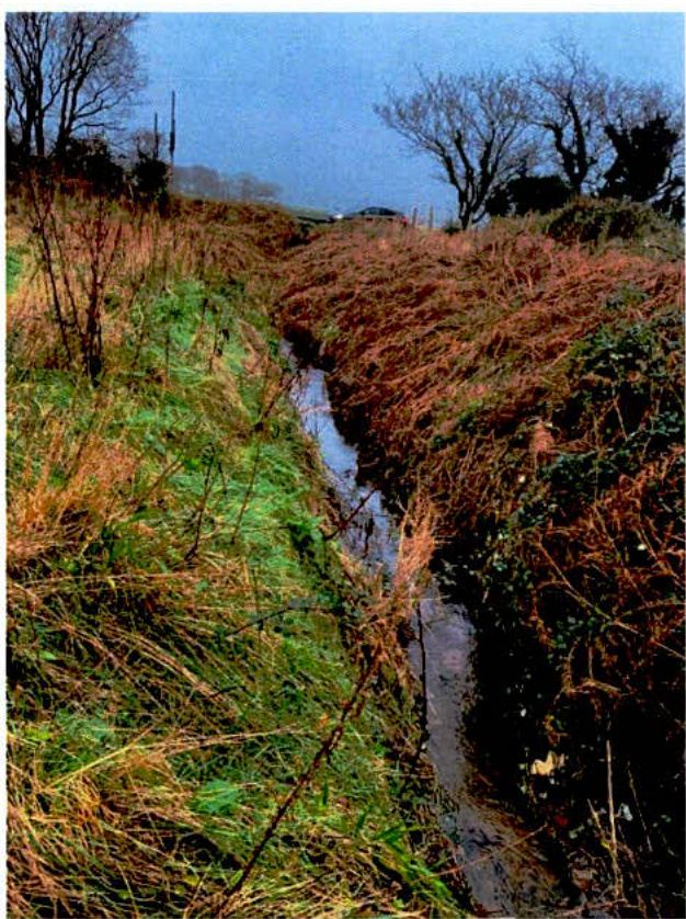 A photograph showing a grassy ditch or stream running through a rural field with trees in the background.