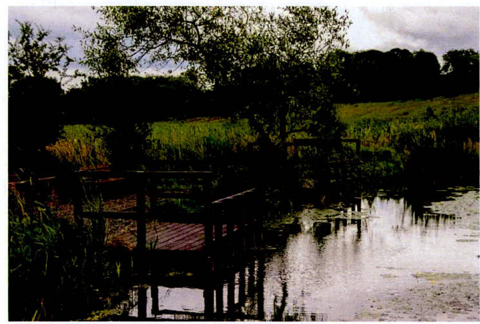 photograph from page 6