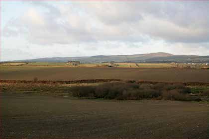 photograph from page 36