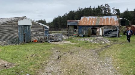 A photograph showing a rural site with several dilapidated agricultural sheds and outbuildings, including a person standing on the right.