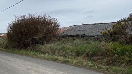 The image shows a dilapidated stone structure with a damaged slate roof, heavily overgrown with vegetation and bushes, situated alongside a rural road.