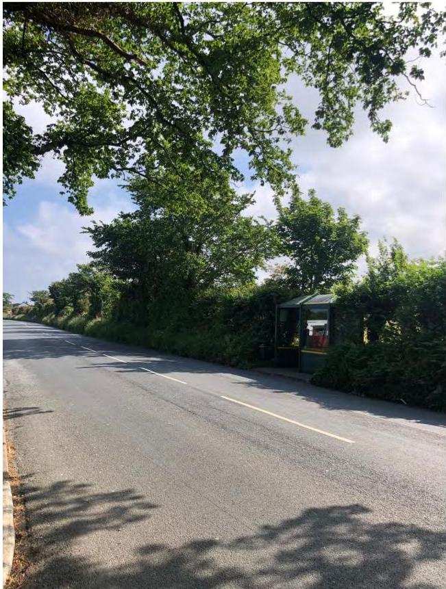 A photograph showing a rural road with a bus shelter situated on the side, surrounded by dense green trees and hedges.