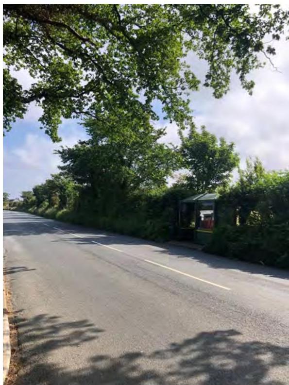 A photograph showing a paved rural road with a bus shelter situated on the grassy verge amidst trees and hedges.