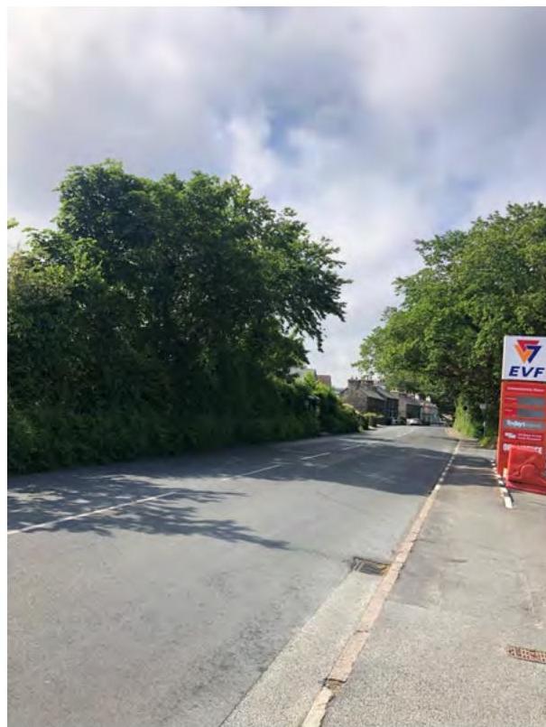 A street-level photograph showing a paved road flanked by dense green hedges and trees, with a red planning notice board visible on the right verge.