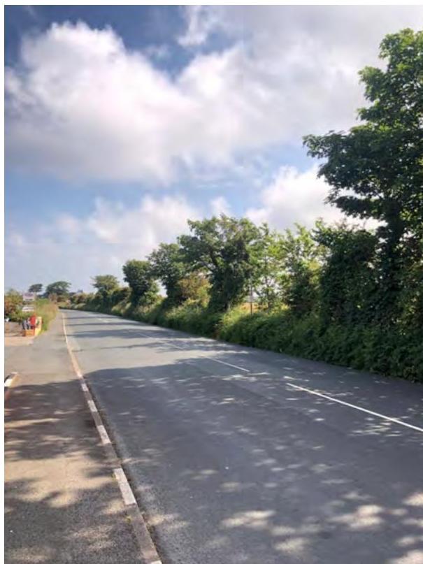 A photograph showing a paved rural road lined with dense green hedges and trees under a blue sky.