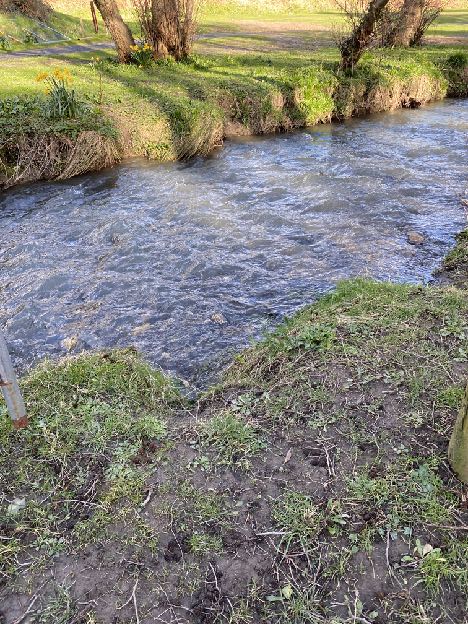 photograph from page 22