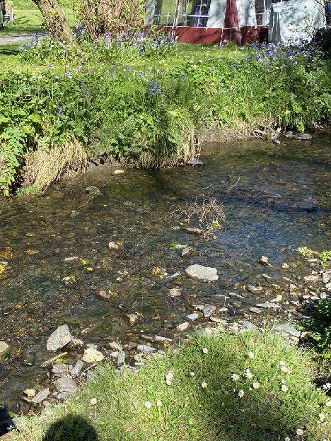 photograph from page 22