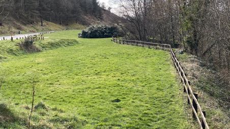 photograph from page 28