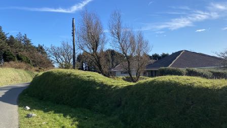 A photograph showing a rural roadside scene with a grassy embankment, trees, and a house with a tiled roof in the background under a blue sky.