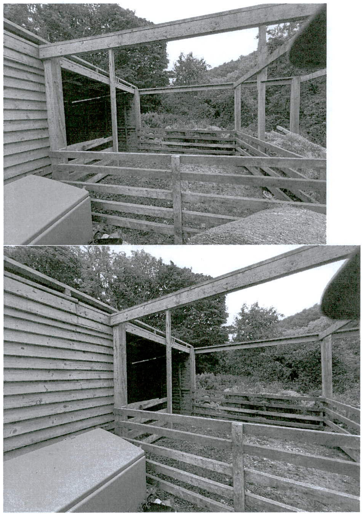 Two black and white photographs showing the interior of a wooden agricultural building with fencing and structural beams.