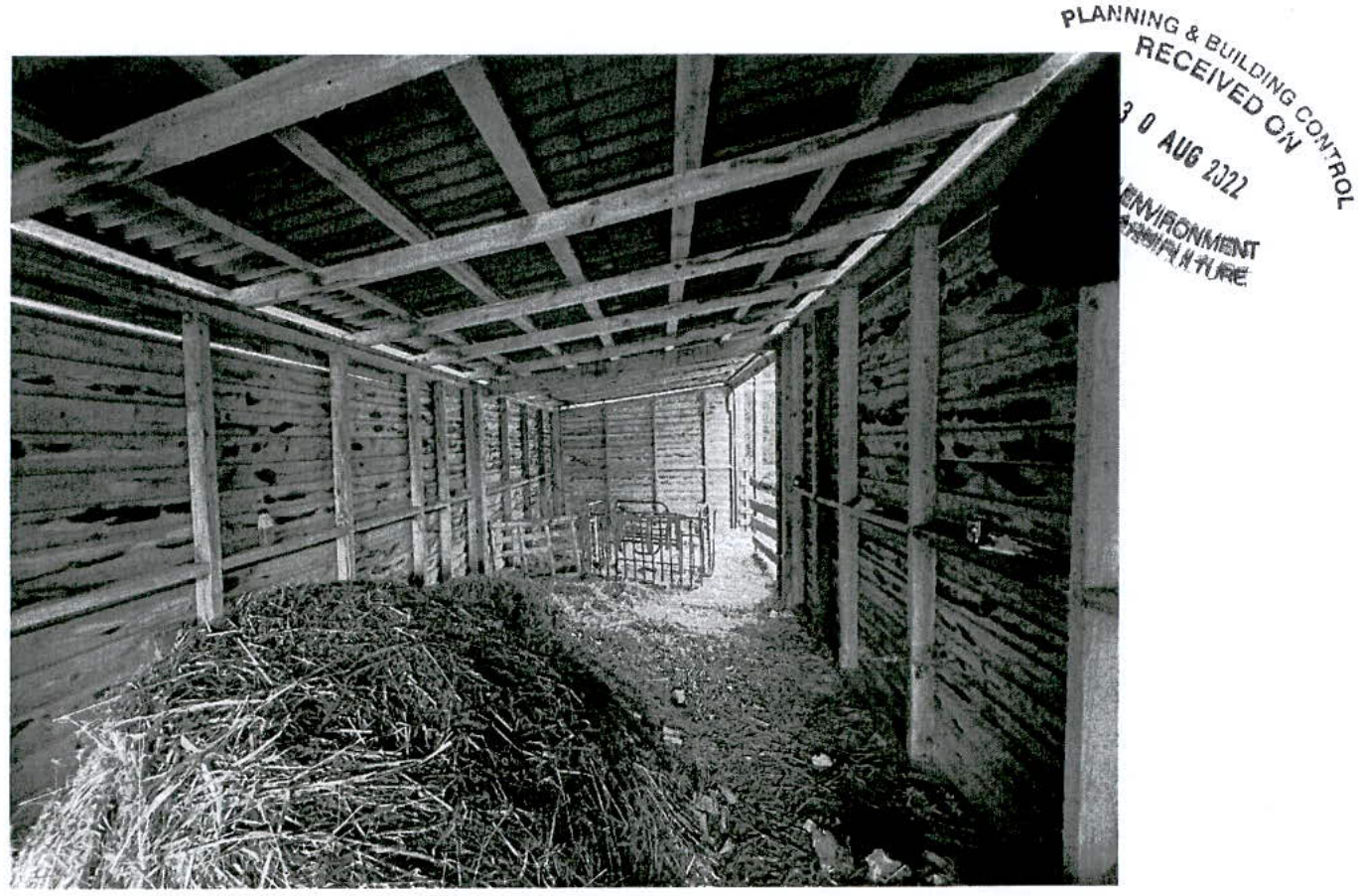 Black and white photograph showing the interior of a wooden agricultural building with hay storage and metal animal pens.